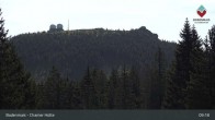 Archiv Foto Webcam Bodenmais - Schutzhütte Kl. Arber/Chamer Hütte 08:00