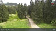 Archiv Foto Webcam Bodenmais - Schutzhütte Kl. Arber/Chamer Hütte 12:00