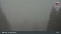 Archiv Foto Webcam Bodenmais - Schutzhütte Kl. Arber/Chamer Hütte 01:00