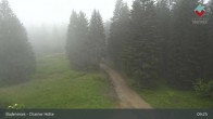 Archiv Foto Webcam Bodenmais - Schutzhütte Kl. Arber/Chamer Hütte 03:00