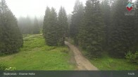 Archiv Foto Webcam Bodenmais - Schutzhütte Kl. Arber/Chamer Hütte 12:00