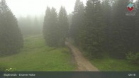 Archiv Foto Webcam Bodenmais - Schutzhütte Kl. Arber/Chamer Hütte 08:00