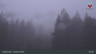 Archived image Webcam Bodenmais - Shelter Chamer Hut 04:00