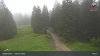Archiv Foto Webcam Bodenmais - Schutzhütte Kl. Arber/Chamer Hütte 08:00