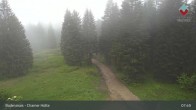 Archiv Foto Webcam Bodenmais - Schutzhütte Kl. Arber/Chamer Hütte 07:00