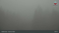 Archiv Foto Webcam Bodenmais - Schutzhütte Kl. Arber/Chamer Hütte 08:00