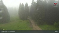 Archiv Foto Webcam Bodenmais - Schutzhütte Kl. Arber/Chamer Hütte 10:00