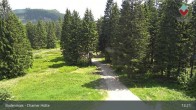 Archiv Foto Webcam Bodenmais - Schutzhütte Kl. Arber/Chamer Hütte 12:00