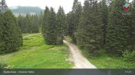 Archived image Webcam Bodenmais - Shelter Chamer Hut 16:00