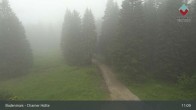 Archiv Foto Webcam Bodenmais - Schutzhütte Kl. Arber/Chamer Hütte 10:00