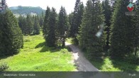Archiv Foto Webcam Bodenmais - Schutzhütte Kl. Arber/Chamer Hütte 10:00