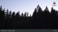 Archiv Foto Webcam Bodenmais - Schutzhütte Kl. Arber/Chamer Hütte 02:00