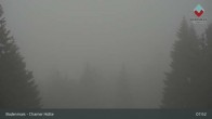 Archiv Foto Webcam Bodenmais - Schutzhütte Kl. Arber/Chamer Hütte 08:00