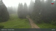 Archiv Foto Webcam Bodenmais - Schutzhütte Kl. Arber/Chamer Hütte 09:00