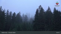 Archived image Webcam Bodenmais - Shelter Chamer Hut 04:00