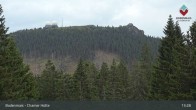 Archived image Webcam Bodenmais - Shelter Chamer Hut 12:00