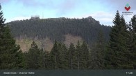 Archived image Webcam Bodenmais - Shelter Chamer Hut 16:00