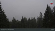 Archived image Webcam Bodenmais - Shelter Chamer Hut 18:00