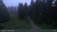 Archiv Foto Webcam Bodenmais - Schutzhütte Kl. Arber/Chamer Hütte 15:00