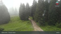 Archiv Foto Webcam Bodenmais - Schutzhütte Kl. Arber/Chamer Hütte 08:00