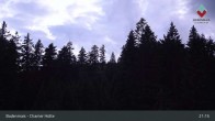 Archiv Foto Webcam Bodenmais - Schutzhütte Kl. Arber/Chamer Hütte 02:00