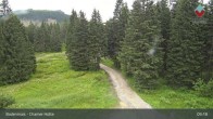 Archiv Foto Webcam Bodenmais - Schutzhütte Kl. Arber/Chamer Hütte 08:00