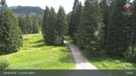 Archiv Foto Webcam Bodenmais - Schutzhütte Kl. Arber/Chamer Hütte 12:00