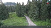 Archiv Foto Webcam Bodenmais - Schutzhütte Kl. Arber/Chamer Hütte 04:00