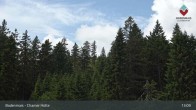 Archiv Foto Webcam Bodenmais - Schutzhütte Kl. Arber/Chamer Hütte 12:00