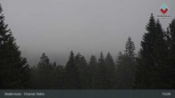 Archiv Foto Webcam Bodenmais - Schutzhütte Kl. Arber/Chamer Hütte 14:00