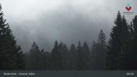 Archiv Foto Webcam Bodenmais - Schutzhütte Kl. Arber/Chamer Hütte 08:00