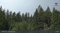 Archiv Foto Webcam Bodenmais - Schutzhütte Kl. Arber/Chamer Hütte 10:00