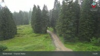 Archiv Foto Webcam Bodenmais - Schutzhütte Kl. Arber/Chamer Hütte 12:00