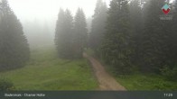 Archiv Foto Webcam Bodenmais - Schutzhütte Kl. Arber/Chamer Hütte 16:00