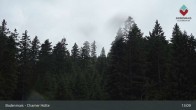 Archiv Foto Webcam Bodenmais - Schutzhütte Kl. Arber/Chamer Hütte 12:00