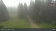Archiv Foto Webcam Bodenmais - Schutzhütte Kl. Arber/Chamer Hütte 07:00