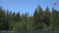 Archiv Foto Webcam Bodenmais - Schutzhütte Kl. Arber/Chamer Hütte 10:00