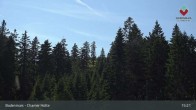 Archiv Foto Webcam Bodenmais - Schutzhütte Kl. Arber/Chamer Hütte 14:00