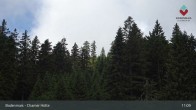 Archiv Foto Webcam Bodenmais - Schutzhütte Kl. Arber/Chamer Hütte 10:00