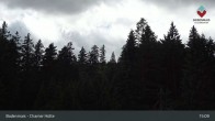 Archiv Foto Webcam Bodenmais - Schutzhütte Kl. Arber/Chamer Hütte 14:00