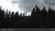 Archiv Foto Webcam Bodenmais - Schutzhütte Kl. Arber/Chamer Hütte 16:00