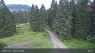 Archiv Foto Webcam Bodenmais - Schutzhütte Kl. Arber/Chamer Hütte 00:00