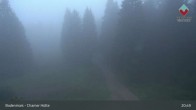 Archiv Foto Webcam Bodenmais - Schutzhütte Kl. Arber/Chamer Hütte 20:00