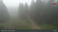 Archiv Foto Webcam Bodenmais - Schutzhütte Kl. Arber/Chamer Hütte 08:00