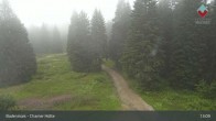 Archiv Foto Webcam Bodenmais - Schutzhütte Kl. Arber/Chamer Hütte 12:00