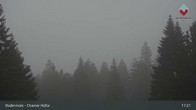 Archiv Foto Webcam Bodenmais - Schutzhütte Kl. Arber/Chamer Hütte 16:00