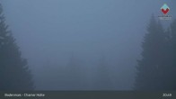 Archiv Foto Webcam Bodenmais - Schutzhütte Kl. Arber/Chamer Hütte 00:00