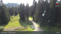 Archiv Foto Webcam Bodenmais - Schutzhütte Kl. Arber/Chamer Hütte 08:00