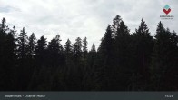 Archiv Foto Webcam Bodenmais - Schutzhütte Kl. Arber/Chamer Hütte 11:00