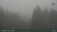 Archiv Foto Webcam Bodenmais - Schutzhütte Kl. Arber/Chamer Hütte 08:00